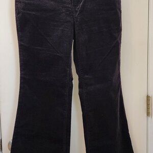 Loft New Velvet Flare pants
